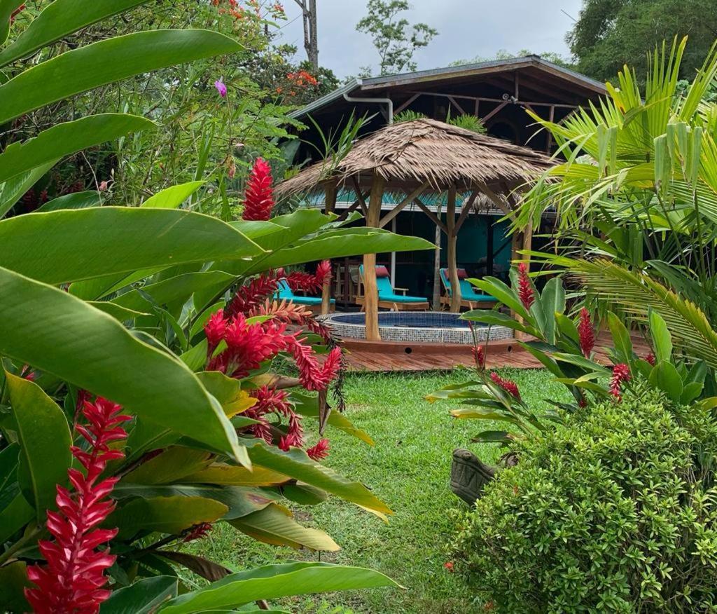 Bed and Breakfast Casa Mambo à Cahuita Extérieur photo
