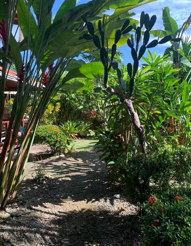 Bed and Breakfast Casa Mambo à Cahuita Extérieur photo